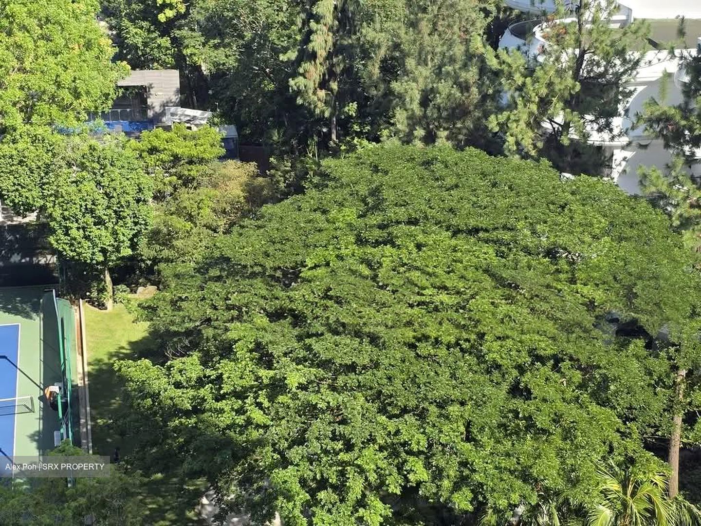 Regency Park (D10), Condominium #581397011